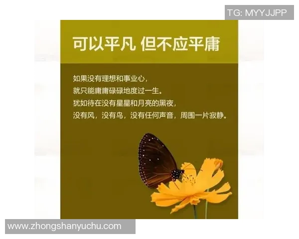 于德豪的奋斗历程与人生哲学探讨：从平凡到卓越的心路历程