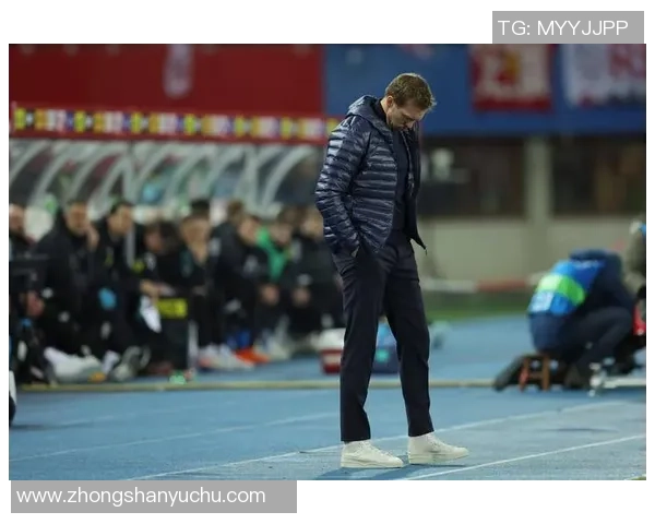 奥地利与德国友谊赛因不可抗力因素宣布取消引发广泛关注