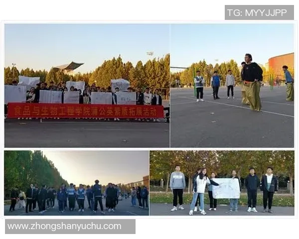 深圳飞盘队心理素质深度对比分析与提升策略探讨