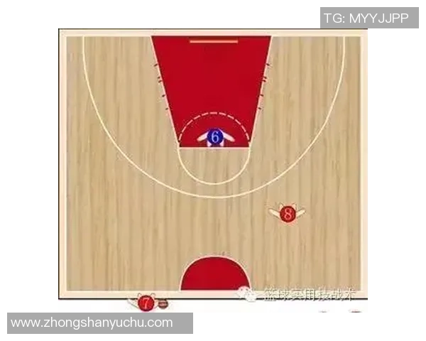 成都排球队进攻战术深度解析与未来发展展望